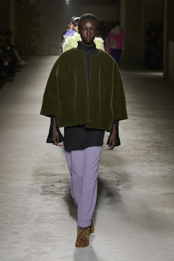 Dries Van Noten осінь-зима 2024/20257