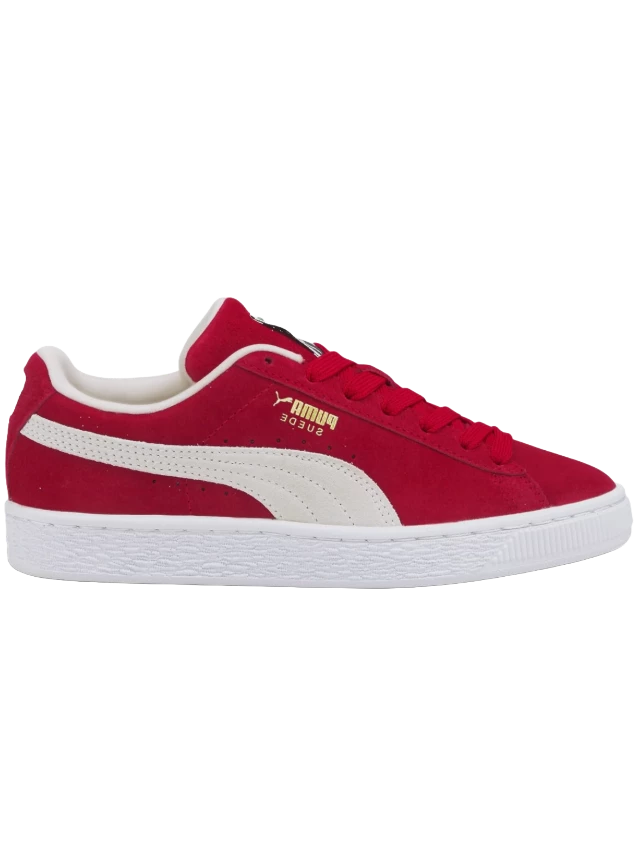 Puma10