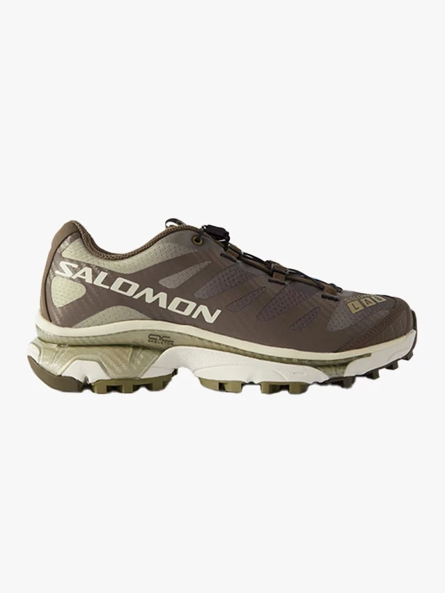 Salomon11