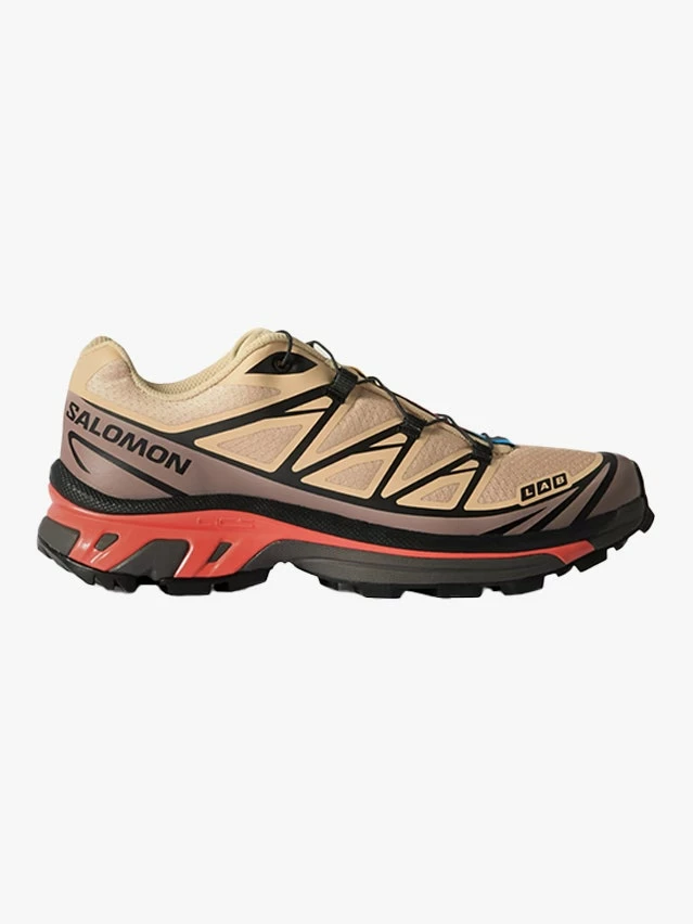 Salomon2