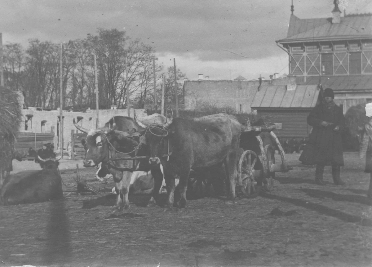 Сто років тому: 37 старовинних фото киян на київських вулицях19