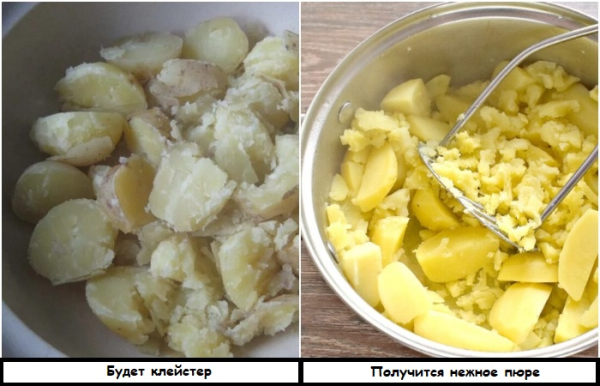 Важливо не переварити картоплю Важно не переварить картофель