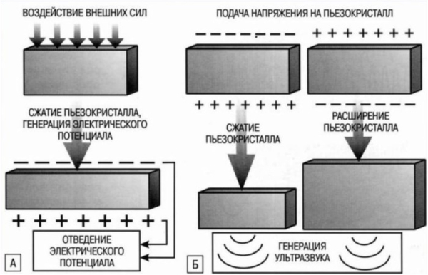 Принцип п'єзоелектричного ефекту. Принцип пьезоэлектрического эффекта.