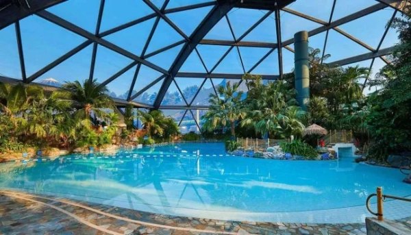 Басейн Center Parcs у селищі Шервудський ліс з великою скляною куполоподібною стелею та тропічними деревами навколо води.