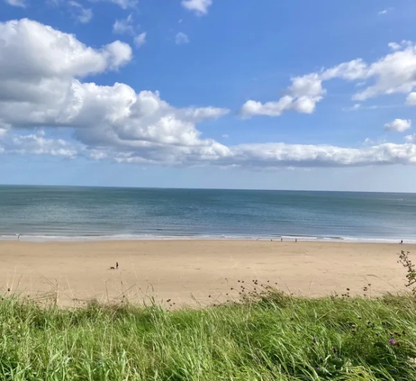 Сонячний яскравий пляж у Сандерленді, Англія, з травою в центрі на передньому плані