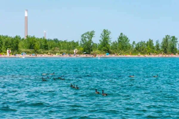 Пляжні краєвиди на островах Торонто