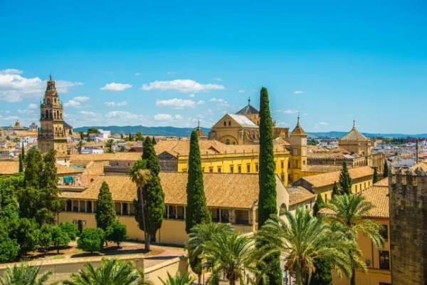 Панорамний вид на мечеть-собор, Андалусія, Іспанія