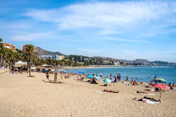 Переповнений пляж з пальмами, плавцями та засмагачами в Малазі, Іспанія