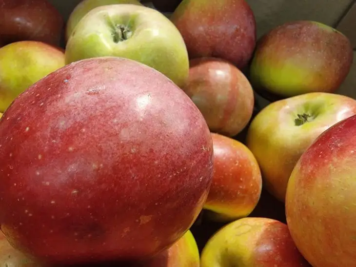 Що буде, якщо є по одному яблуку на день протягом місяця: зміни, які ви помітите вже за тиждень яблоки