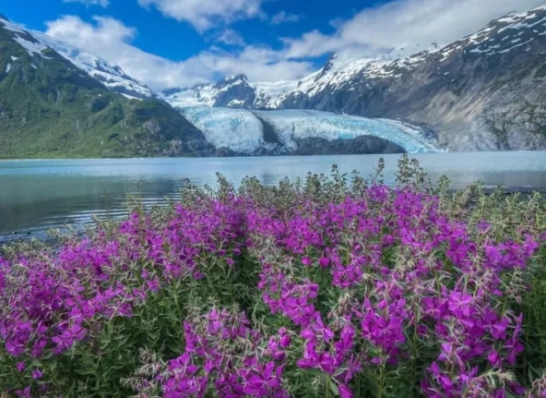 Район навколо Віттієра, Аляска. Жінка живе в такому крихітному містечку на Алясці, що 75% мешканців живуть в одному будинку. 36-річна Джеймі Лоан переїхала до Віттієра, крихітного міста з населенням лише 270 мешканців, разом зі своїм 37-річним чоловіком Кайлом сім років тому через надзвичайно низькі ціни на квартири, і їй вдалося придбати квартиру на березі моря всього за 15 000 фунтів стерлінгів. Більшість мешканців живуть у 14-поверховому комплексі міста, який має 150 квартир і крихітний магазинчик. Решта, включаючи Джеймі, живуть у меншому багатоквартирному будинку над міською закусочною. Фото опубліковано 28.11.2025.