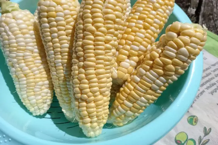 Як варити кукурудзу, щоб вона була солодкою, як у дитинстві: секрет з молоком та цукром кукуруза