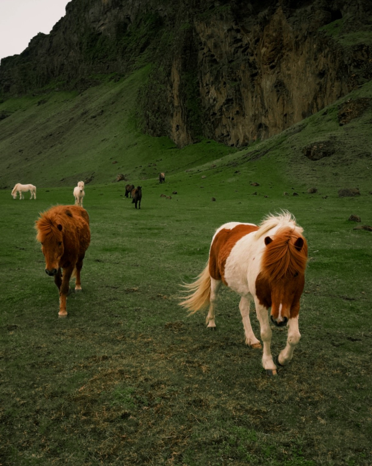 7 років мандрів: Український бренд будує інший туризм
3