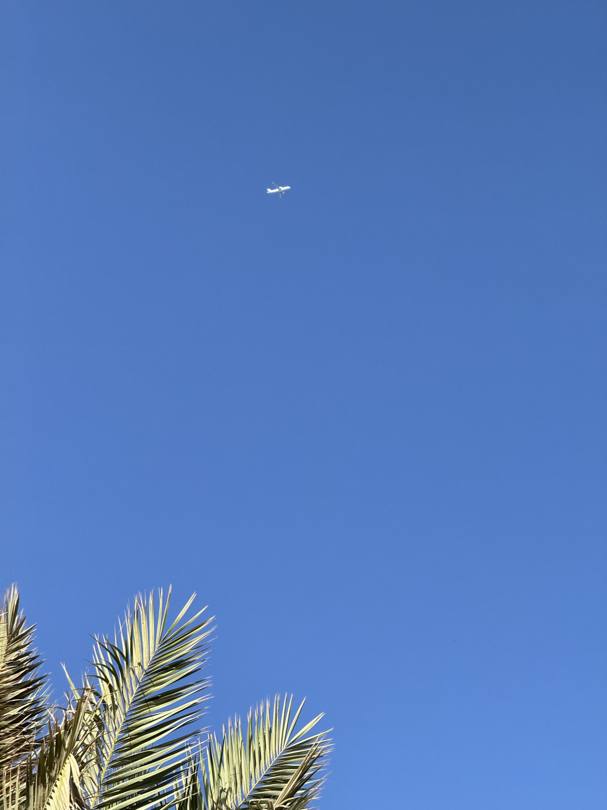 Бюджетний морський відпочинок 2025: куди поїхати українцям
15