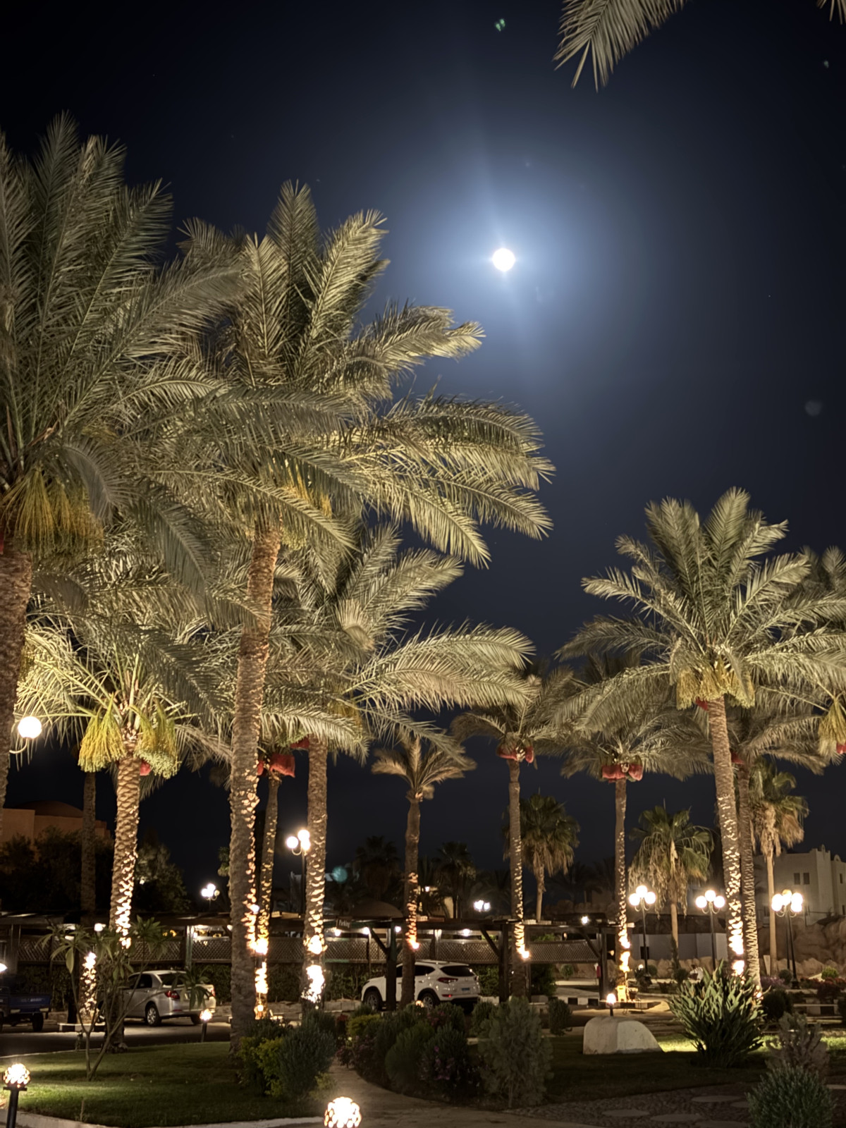 Бюджетний морський відпочинок 2025: куди поїхати українцям
14