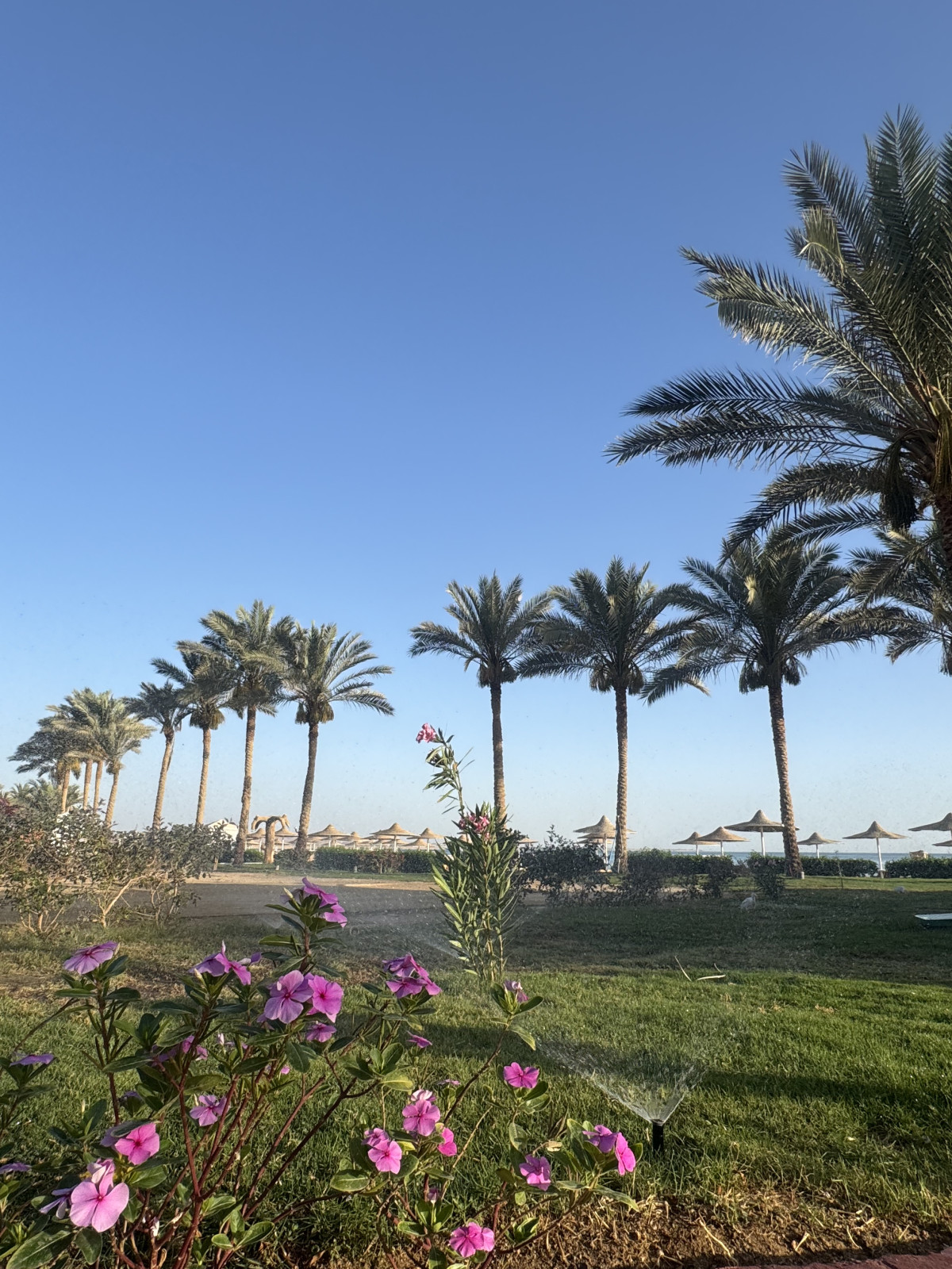 Бюджетний морський відпочинок 2025: куди поїхати українцям
17