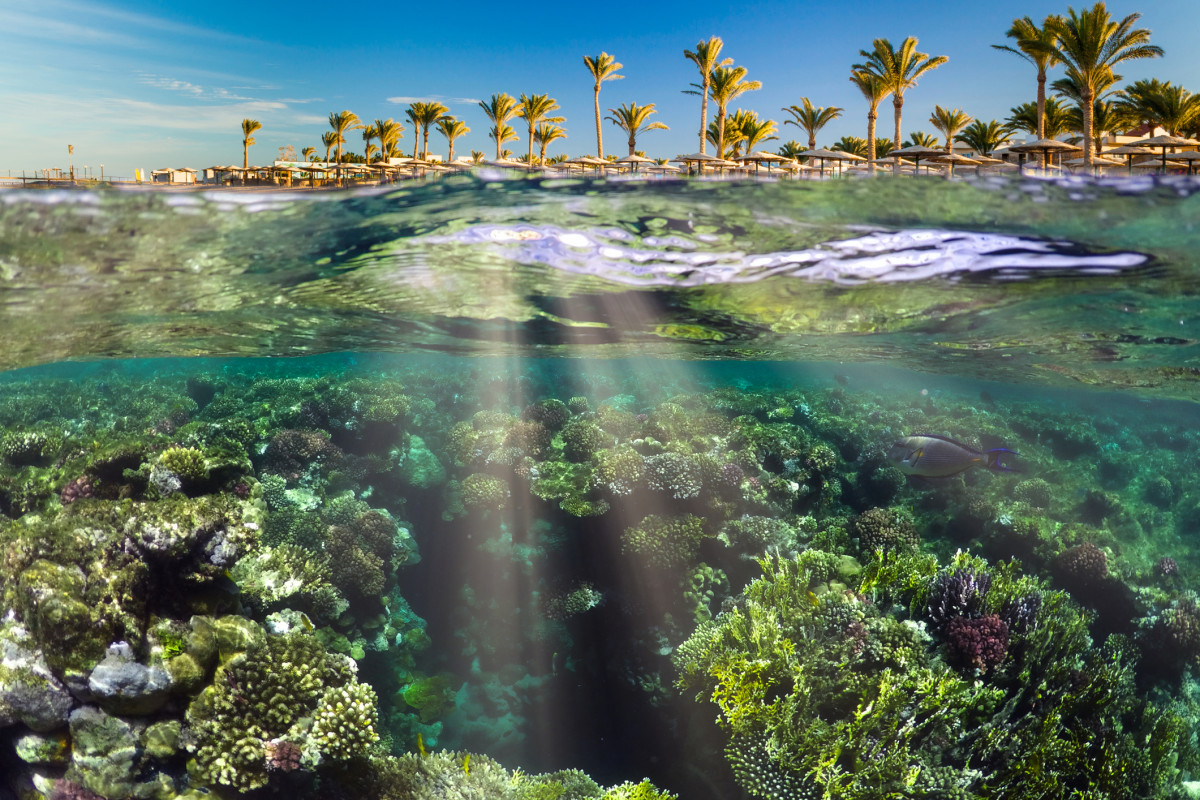 Бюджетний морський відпочинок 2025: куди поїхати українцям
0