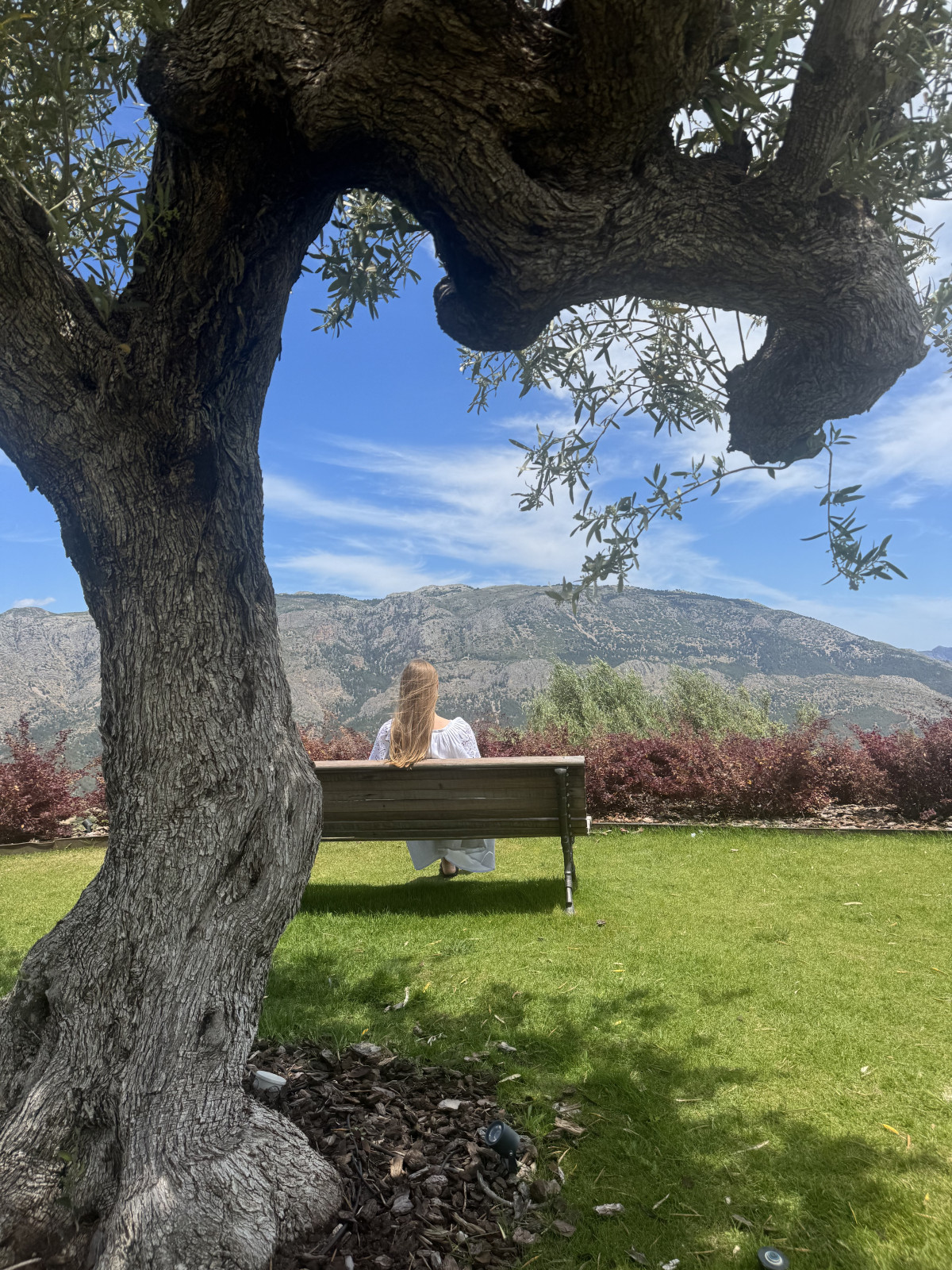 Аліканте, Іспанія: План на відпустку 2025 – пляжі, пам'ятки, маршрут22