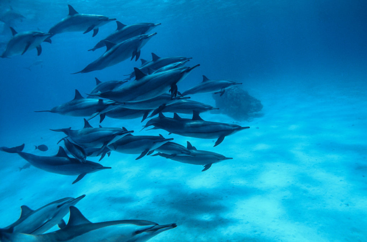 Бюджетний морський відпочинок 2025: куди поїхати українцям
4