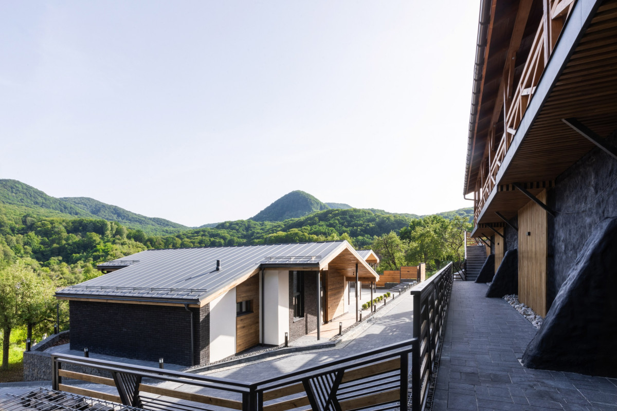 Закарпатський детокс: відродження інтересу до оздоровчих турів
20