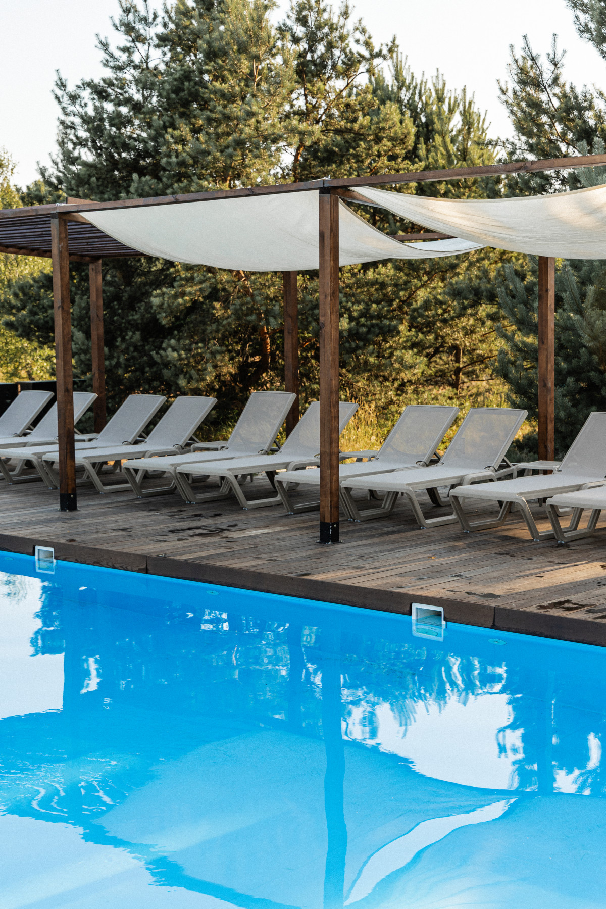 УЛІС презентував івент-майданчик, басейн під відкритим небом та лісові вечері.
35