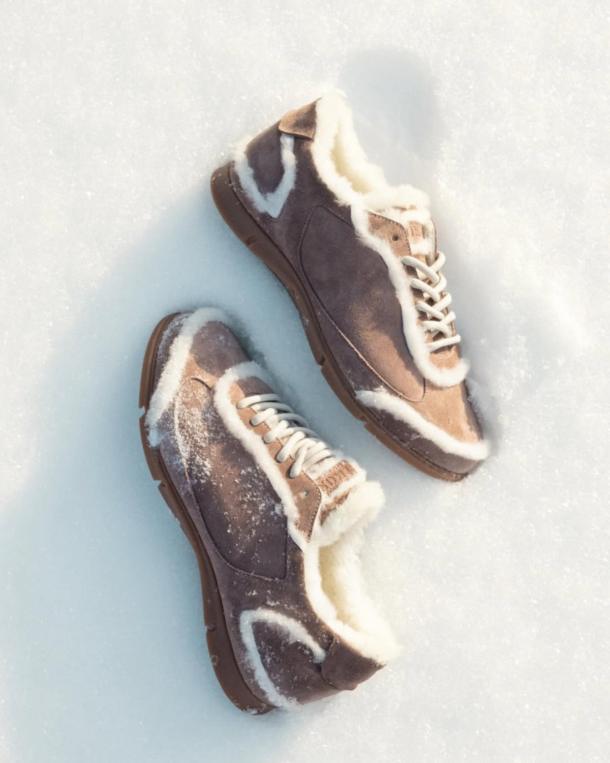 Зимова колекція: Стильні, теплі кросівки, уггі та лофери 2026
1