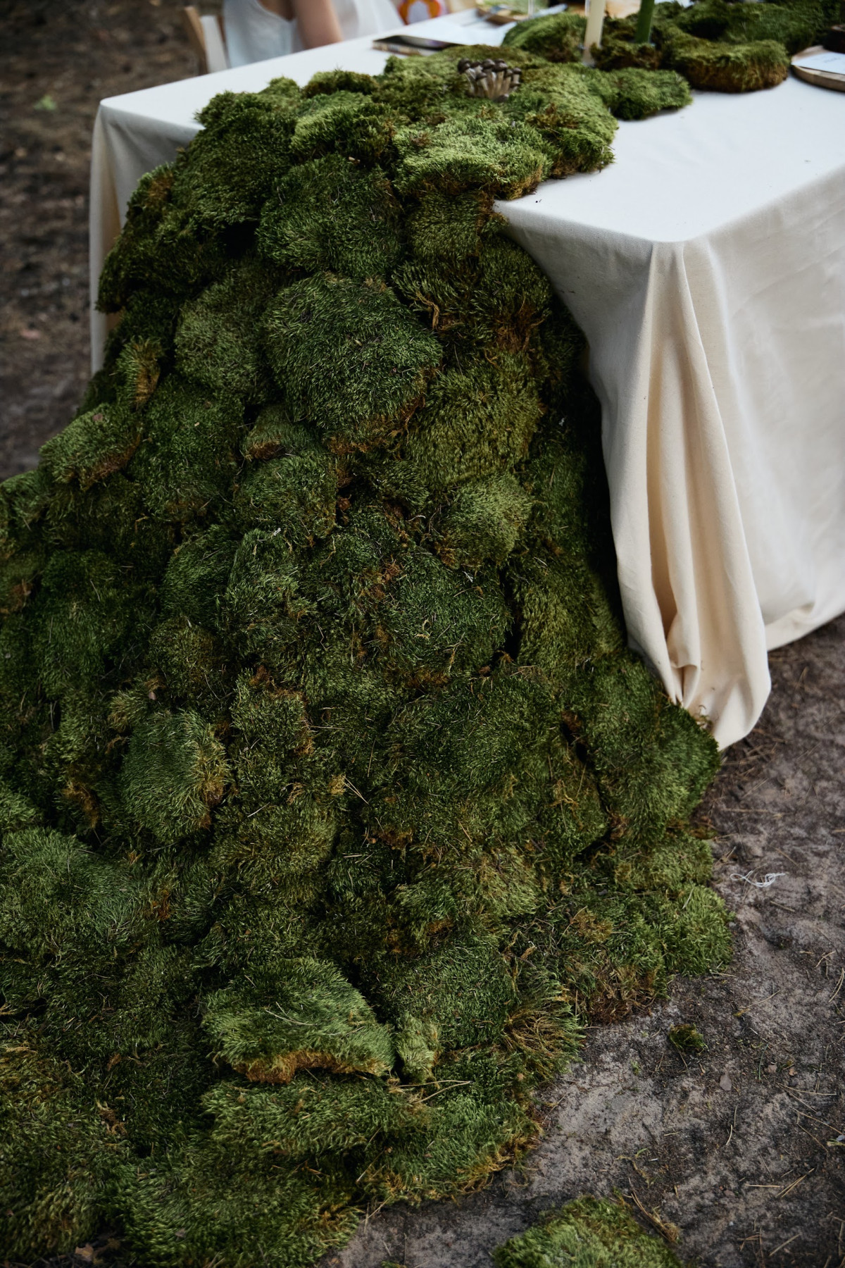 УЛІС презентував івент-майданчик, басейн під відкритим небом та лісові вечері.
3