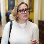 Хто такий Метью Аммель? Про чоловіка, з яким колишня сенаторка від Аризони Крістен Сінема нібито мала роман