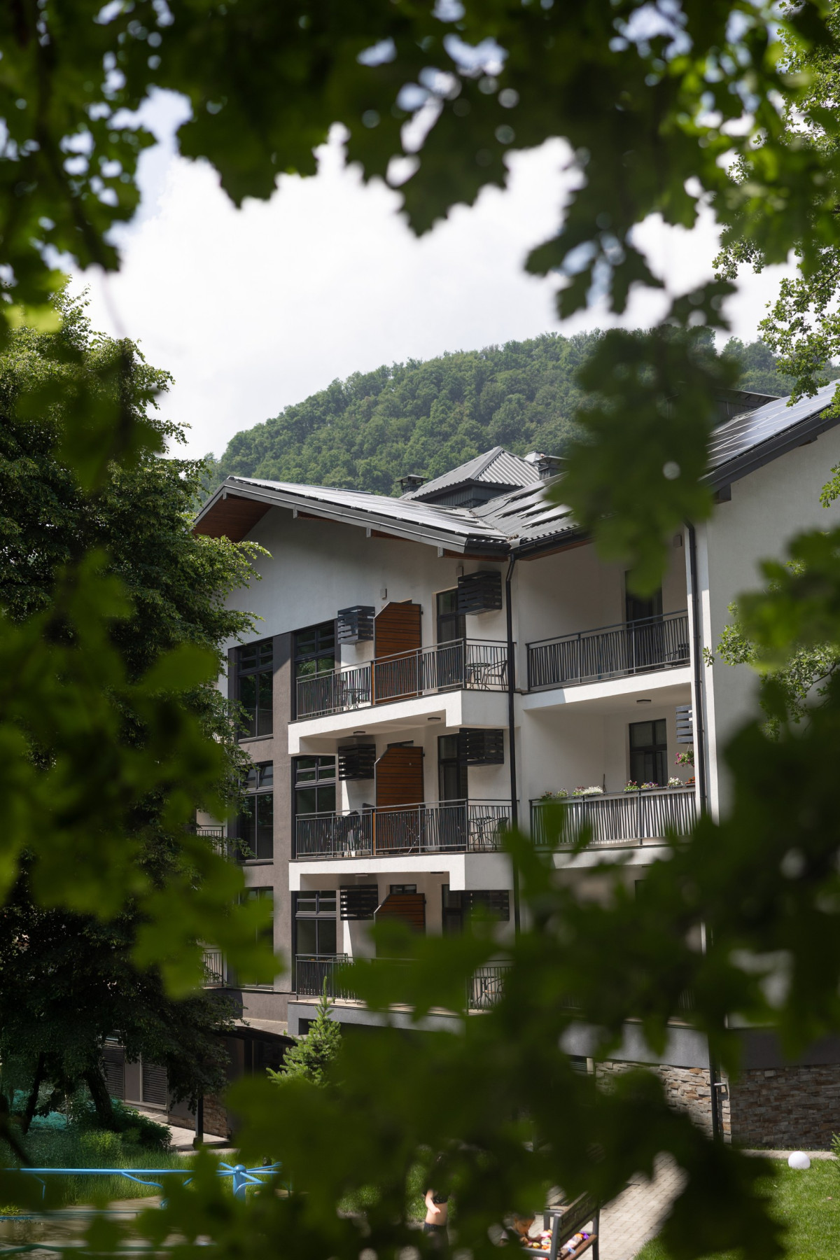 Закарпатський детокс: відродження інтересу до оздоровчих турів
27