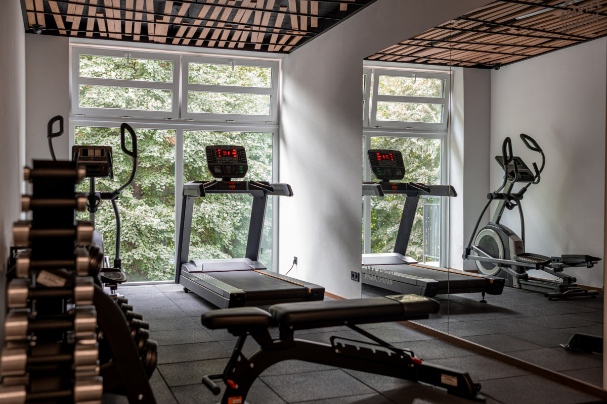 Закарпатський детокс: відродження інтересу до оздоровчих турів
26