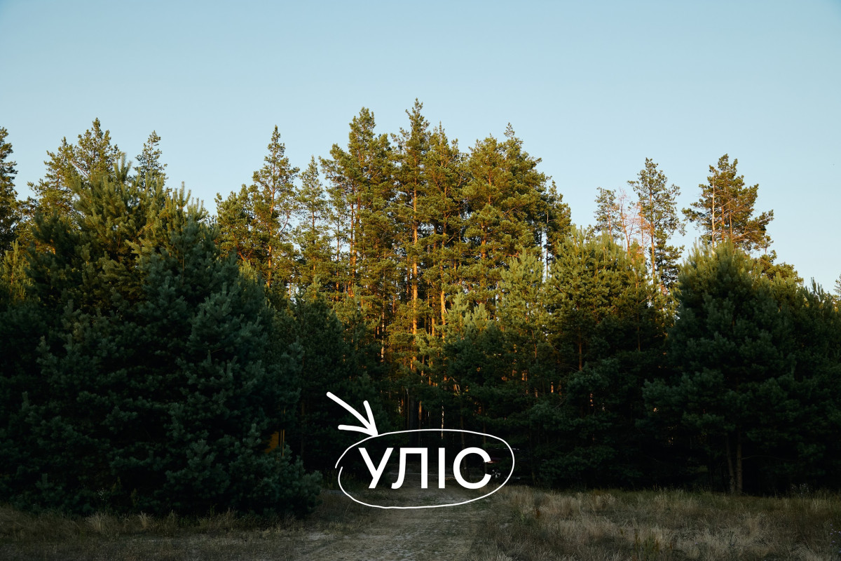 УЛІС презентував івент-майданчик, басейн під відкритим небом та лісові вечері.
0