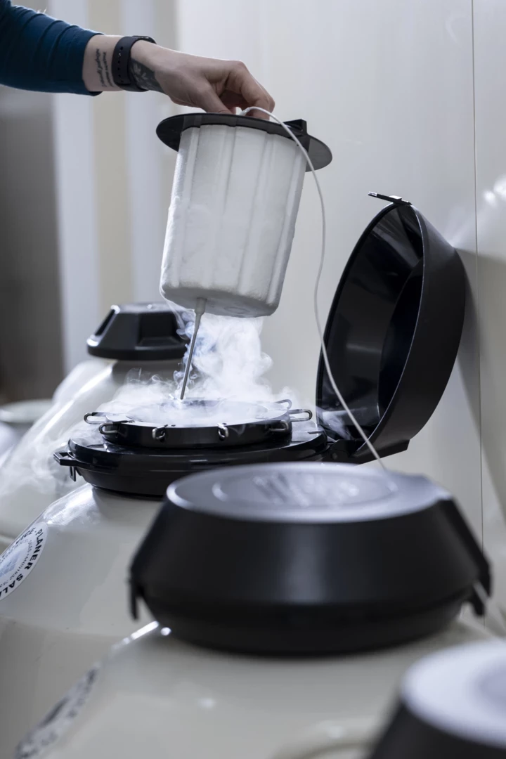 Vogue UA: Завдання №3. Подбайте про репродуктивне здоров'я.
5