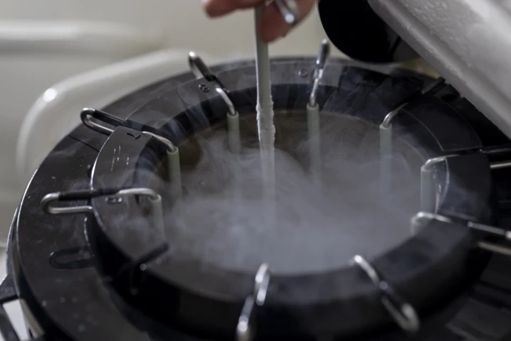 Vogue UA: Завдання №3. Подбайте про репродуктивне здоров'я.
3