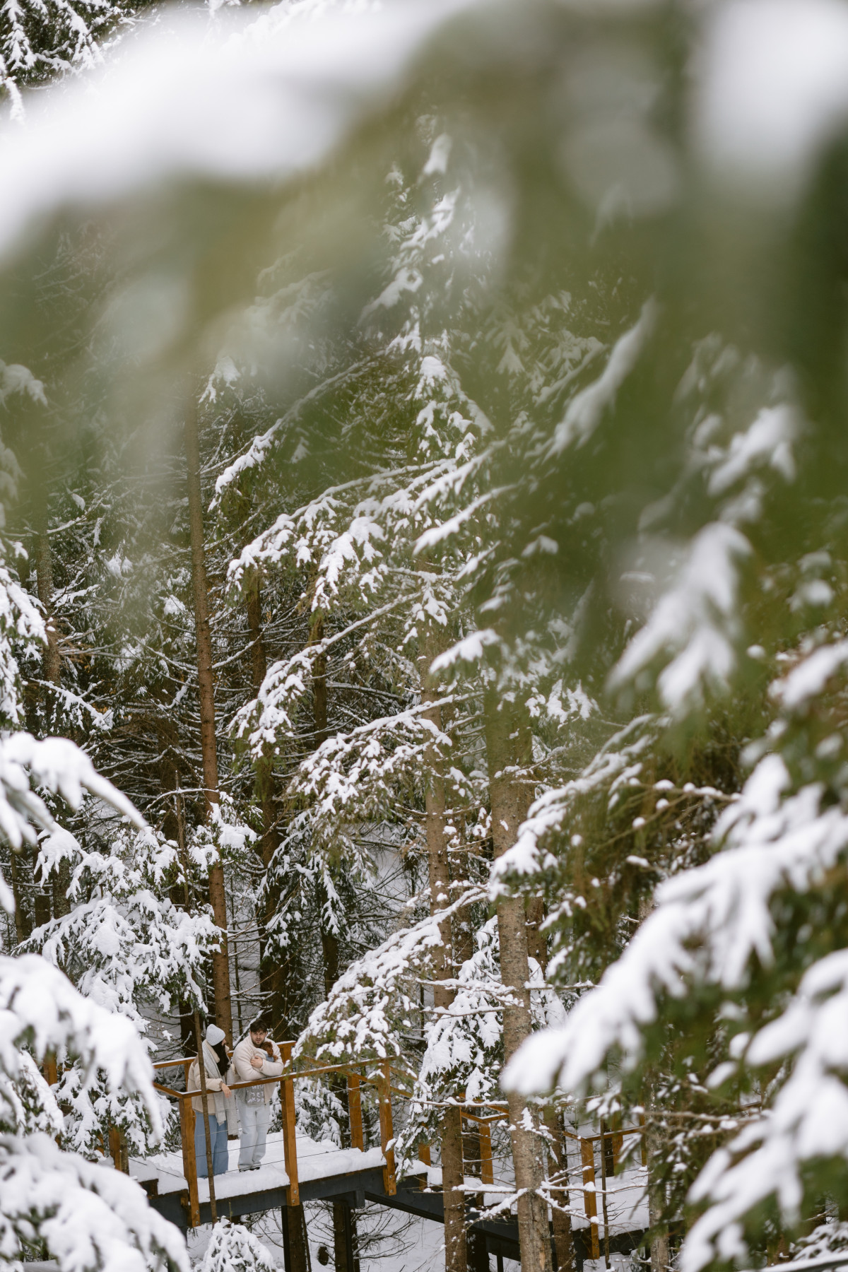 День закоханих у Карпатах: ідеї для чудової мандрівки
8