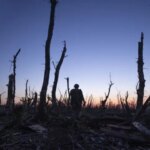 Мстислава Чернова відзначено нагородою Пола Селвіна Гільдії сценаристів Америки 2026 – сценарій виборов приз за громадську свідомість – культурні події