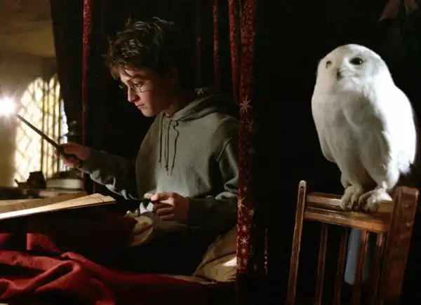 Деніел Редкліфф висловився про акторів нового “Гаррі Поттера”