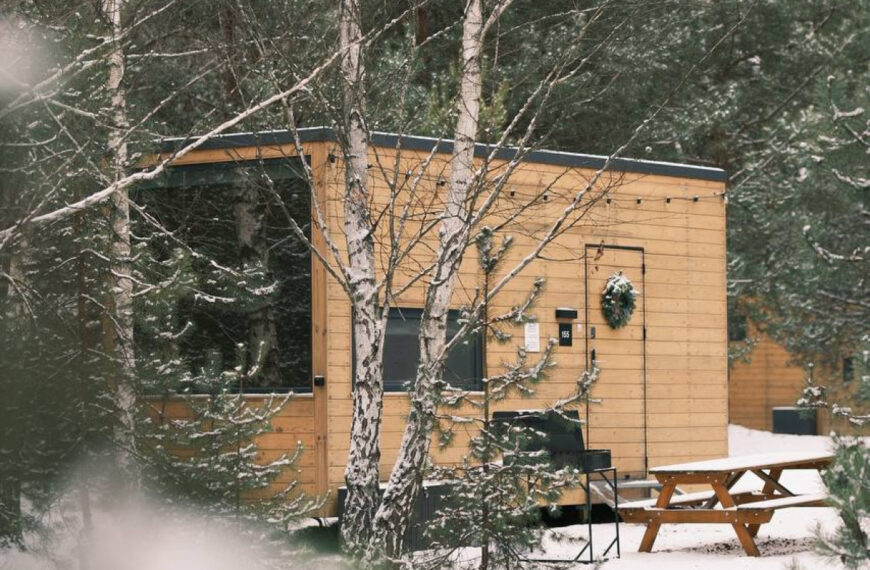 Де відпочити неподалік Києва: котеджі в лісовій зоні УЛІС.Дудки