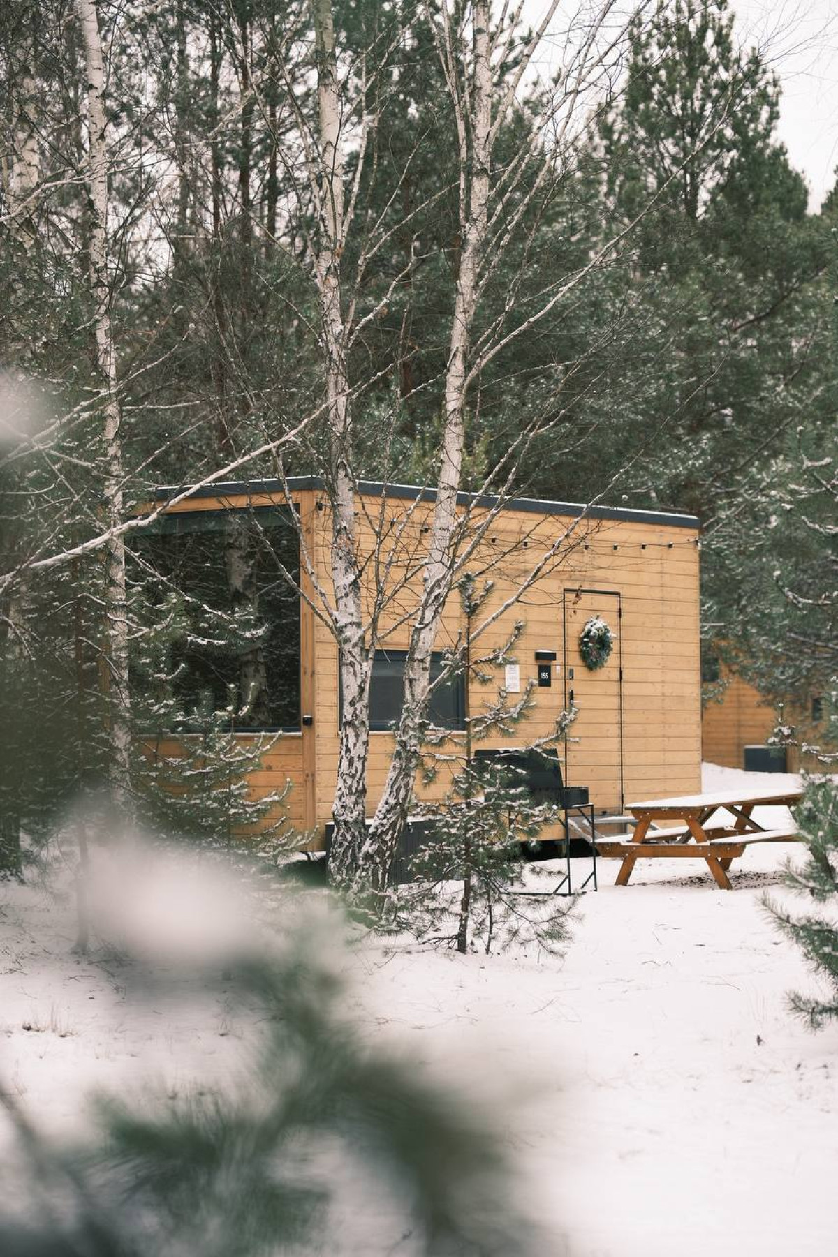 Де відпочити неподалік Києва: котеджі в лісовій зоні УЛІС.Дудки