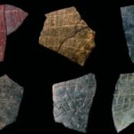 Наука простежила витоки абстрактного мислення у 60-тисячолітніх візерунках на страусиних яйцях – наукові звістки