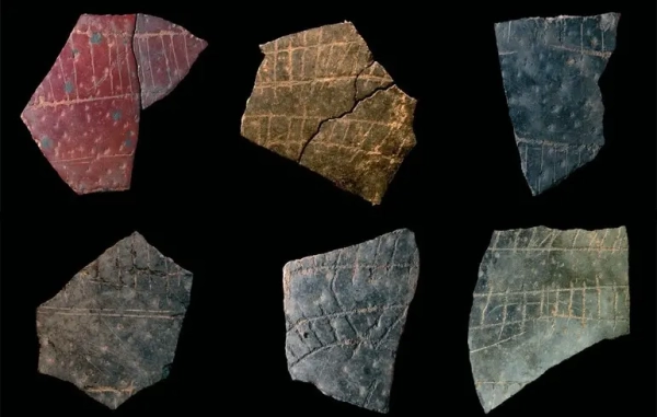 Наука простежила витоки абстрактного мислення у 60-тисячолітніх візерунках на страусиних яйцях –…