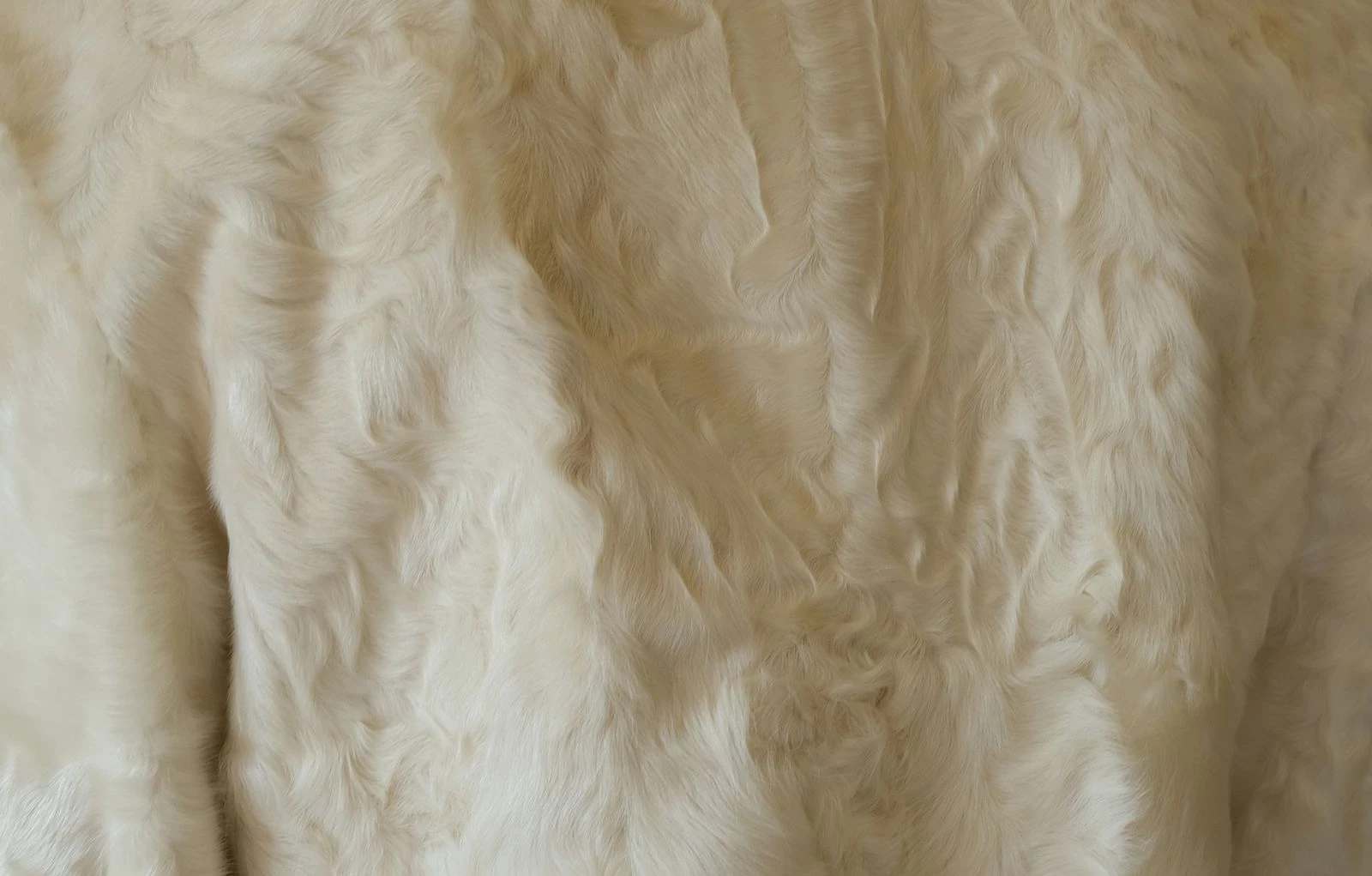 Легкі, майже невагомі матеріали — один із ключових акцентів. На фото — козячий ворс. Photo: Alma Libera6