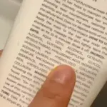 Пошкоджене освітлення: ефективні засоби для відновлення.