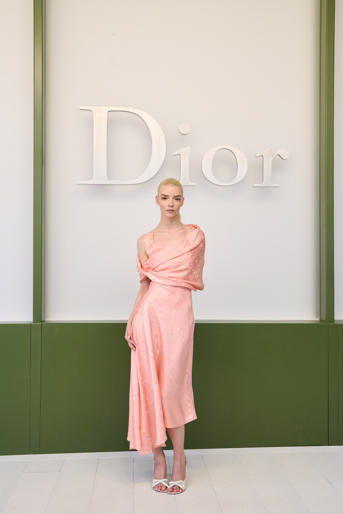 У що вбралися Шарліз Терон, Дева Кассель та інші знаменитості на дефіле Christian Dior
3