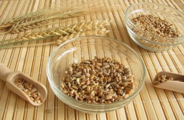 Хліб – усьому голова? Ломота третя. Просо: все, окрім історії!