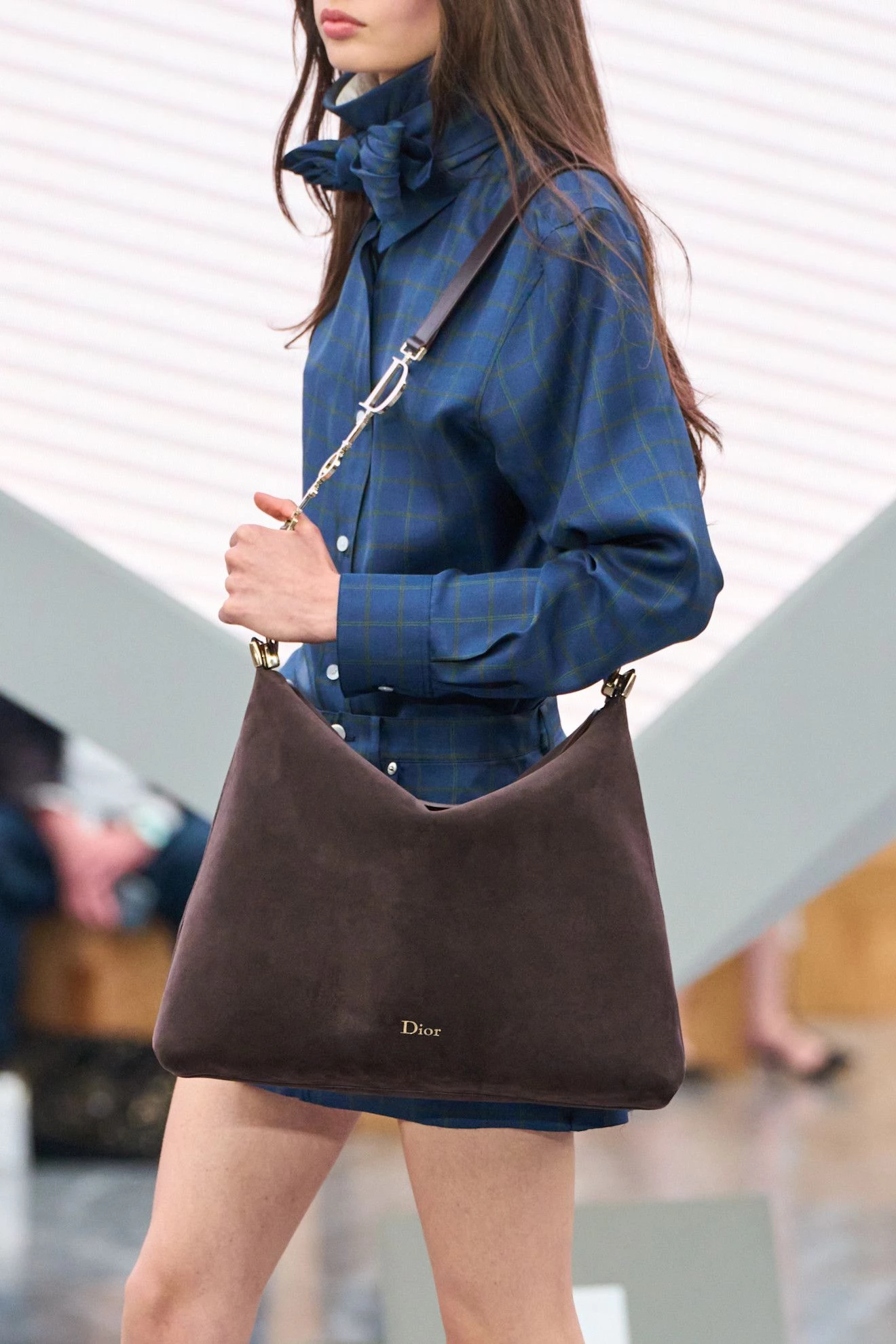 Dior11