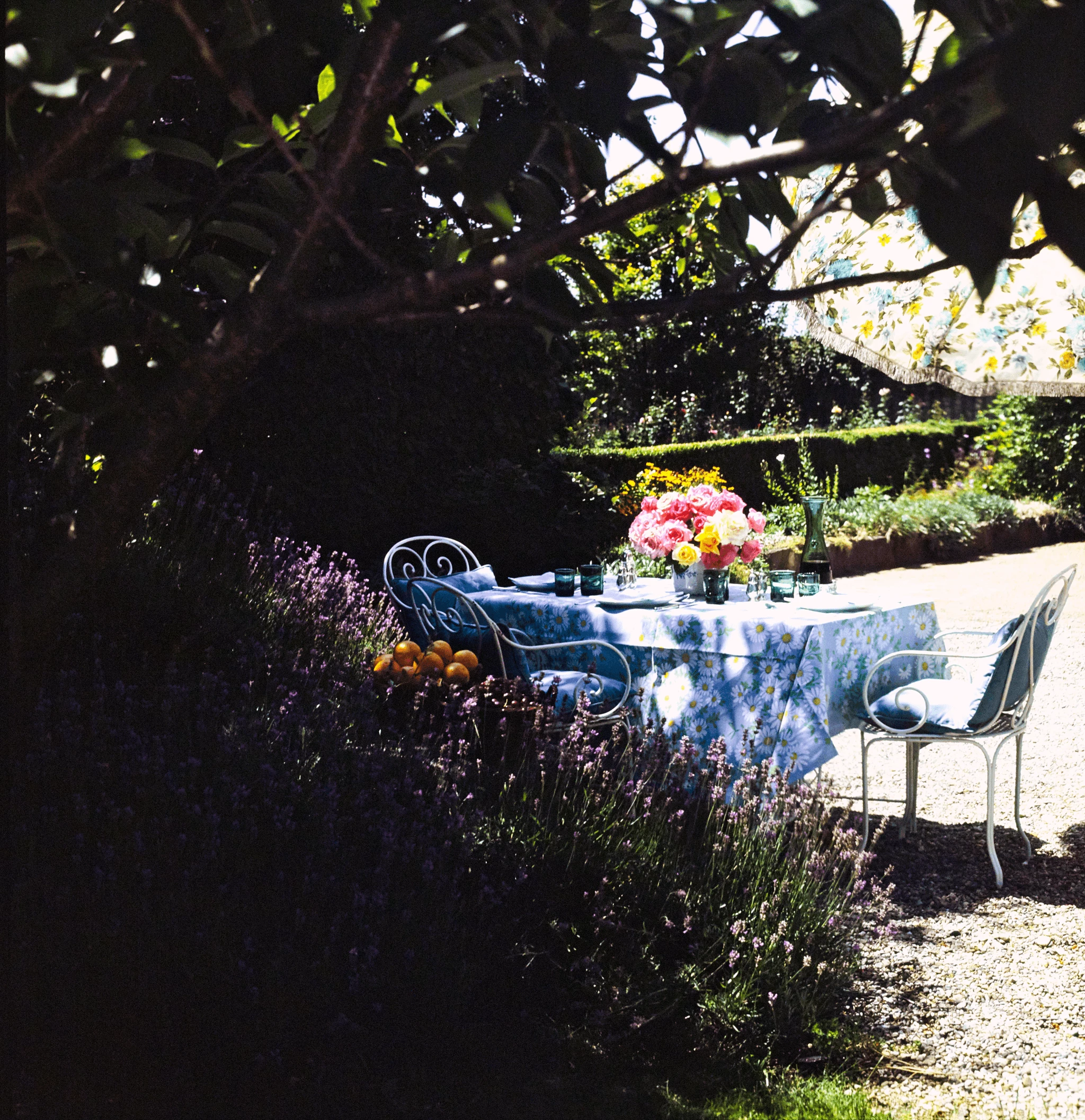 A garden corner near the La Paisible house, where actress Audrey Hepburn lived, in the Swiss town of Tolochenaz. Photo: Henry Clarke, Vogue, April 1961.18