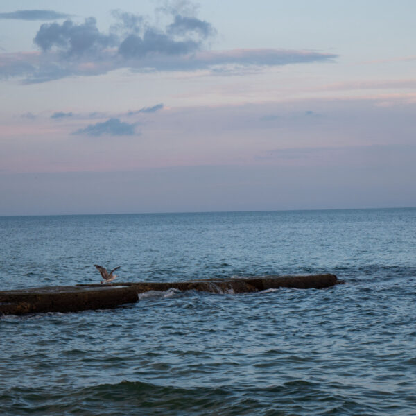 5 кроків до бездоганного відпочинку біля моря