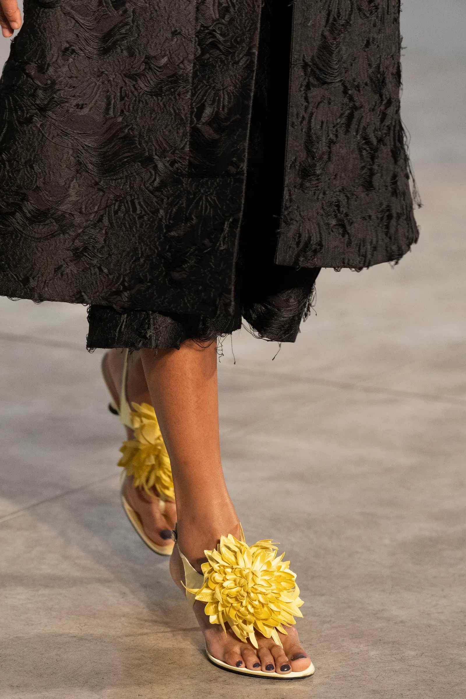Proenza Schouler2