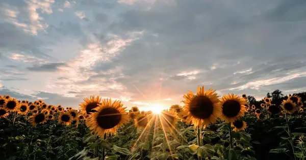 До України повертається сильна спека