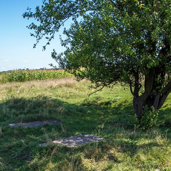 Молебень на Маковія: роздуми Галини Пагутяк