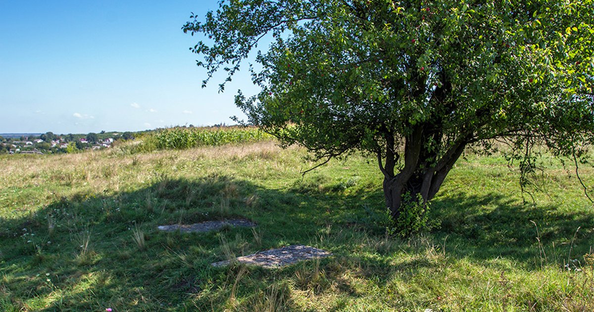Молебень на Маковія. Галина Пагутяк0